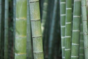 bambu tyg dåligt för huden